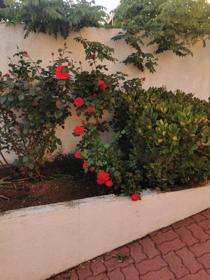 Guesthouse Nadia Senj  Exterior photo